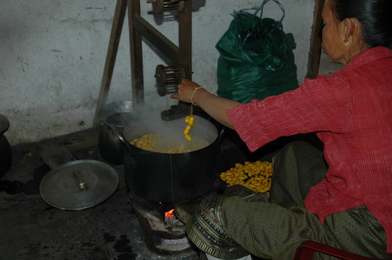 Reeling of mulberry silk in Laos